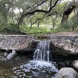 Picture for song 'Cackle So' by artist 'Gagmesharkoff'