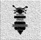 Picture for song 'Disappear' by artist 'Its The Bee'