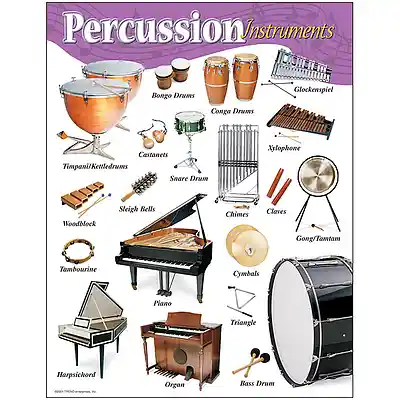 Picture for song 'Percussive' by artist 'Jimi Sweeney'