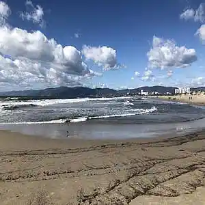 Picture for song 'Venice Beach' by artist 'Kamileon'