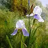 Picture for song 'Минає день, минає ніч' by artist 'LARA (Larisa Velieva)'