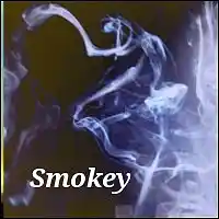 Picture for song 'Smokey 1' by artist 'Michel Grimard AliBlaBla Productions'