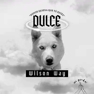 Picture for song 'Dulce - Wilson Way (Prod. Arky Beat)' by artist 'Wilson Way'