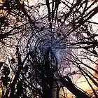 Picture for song 'Whatever (Free Download)' by artist 'Dictates Of Reason'