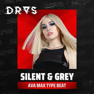 Picture for song 'Silent & Grey w/o hook' by artist 'Dras On The Beat'