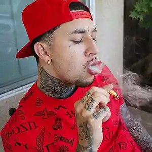 Picture for song 'My Baby' by artist 'Holiday On The Track'