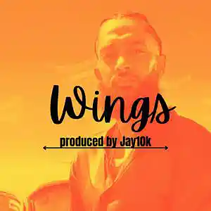 Picture for song 'WINGS (Nispey Hussle type beat)' by artist 'Jay10k producer'