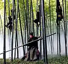 Picture for song 'FLYING SOUL' by artist 'KASH KREDIT DA GOD'