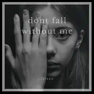 Picture for song 'dont fall without me' by artist 'lilsanprod.'