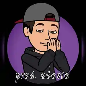 Picture for song 'Vibin' by artist 'prod. stevie'