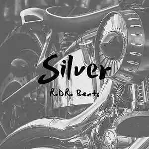 Picture for song 'SILVER' by artist 'Rodro Beats'