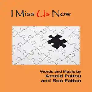 Picture for song 'I MISS US NOW' by artist 'Ropatt'