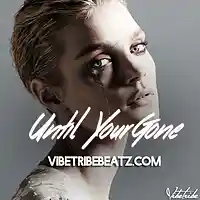 Picture for song '*Amazing* Until Your Gone *BUY 1 GET 1 FREE*' by artist 'VibeTribeBeatz'