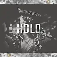 Picture for song 'Hold (buy1 get 1 free, buy 2 get 2 free)' by artist 'ruwaves'
