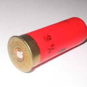 Picture for song 'Shell [studio]' by artist 'apocalypse cow'