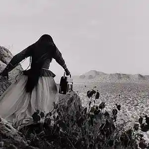 Picture for song 'Black Cactus' by artist 'badgerland'