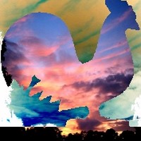 Picture for song 'Good Morning!' by artist 'Cam7Song'