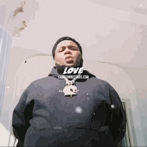 Picture for song 'Love' by artist 'Cash Cow Records'