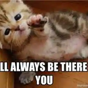 Picture for song 'I will always be there for you' by artist 'DANKONG'