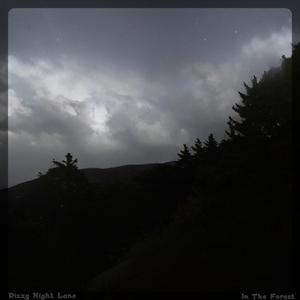 Picture for song '14 In The Forest (Dizzy Edition)' by artist 'Dizzy Night Lane'