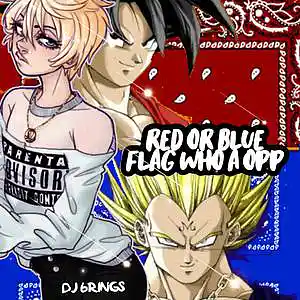 Picture for song 'Red or Blue flag Who a Opp' by artist 'DJ 6 RINGS'