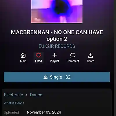 Picture for song 'MACBRENNAN - NO ONE CAN HAVE option 3' by artist 'EUK2IR RECORDS'