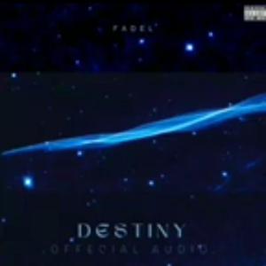 Picture for song 'FADEL - Destiny [Official Audio]' by artist 'FADEL'