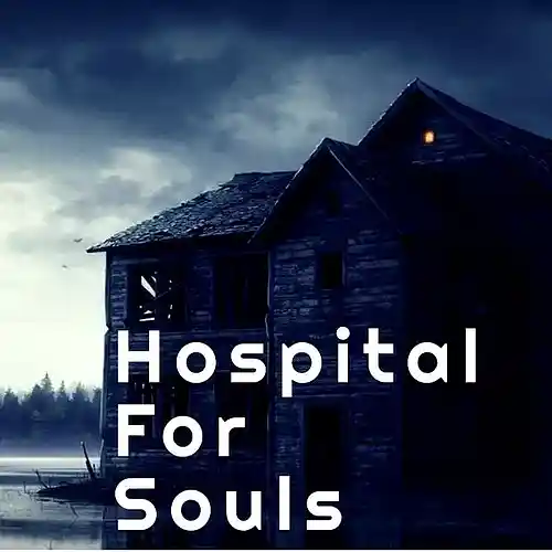 Picture for song 'Katana' by artist 'Hospital For Souls'