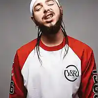 Picture for song 'Post Malone Type Beat (prod IshOnTheBeat)' by artist 'IshOnTheBeat'