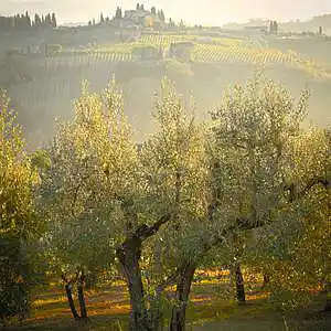 Picture for song 'Sing Praises To God' by artist 'John Matteson'