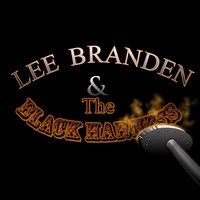 Picture for song 'Mj Devine' by artist 'lee branden and the black harness'