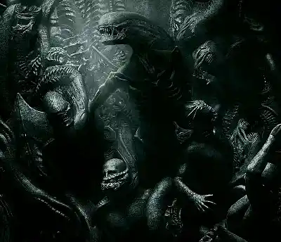 Picture for song 'Trilobite Aliens' by artist 'Negri Bodies'
