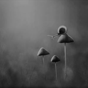 Picture for song 'Causality 132 bpm F Minor' by artist 'Orko Beats'