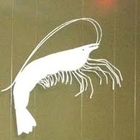 Picture for song 'Nantucket Shrimp Toast: Aftershocks' by artist 'paul gorman and the hypnotist collectors'