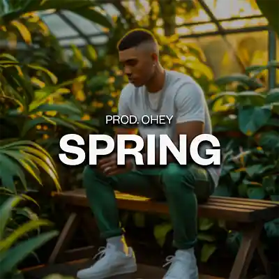 Picture for song 'SPRING - ZEAMSONE TYPE BEAT' by artist 'prod.ohey'