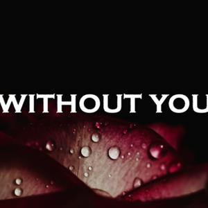 Picture for song 'Without You' by artist 'SadGlad Music'