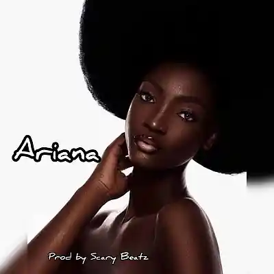 Picture for song 'Ariana' by artist 'Scary Beatzs'