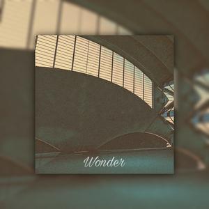 Picture for song 'Wonder' by artist 'SOD OS Beats'