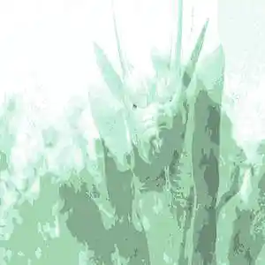 Picture for song 'Skill only' by artist 'someP'