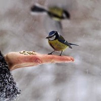 Picture for song 'Call me...' by artist 'stefanos grigoriadis'