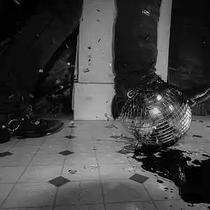 Picture for song 'MaybeDisco' by artist 'sum of the daze'