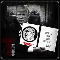 Picture for song 'Truth' by artist 'Turtle Necromancer'