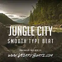 Song picture