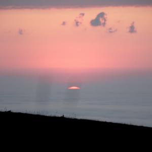 Picture for song '"Undermine" Beat for Sale' by artist 'whoDeanyBeatz'