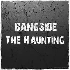 Picture for song 'The Haunting' by artist 'BangSide'