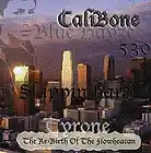Picture for song 'iGo Go Instrumental With Hook (HOTT!!)' by artist 'CaliBone'