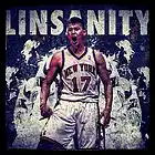 Picture for song 'LINSANITY' by artist 'CHILLA BEATS'