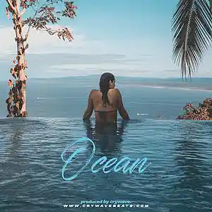 Picture for song '«Ocean» (Chill Lo-fi Piano Type Beat)' by artist 'CRYWAVE.'