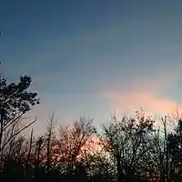 Picture for song '"Time" by Pamela Illanes-Tatsuoka' by artist 'Pamela Illanes-Tatsuoka'