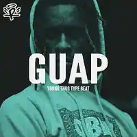 Picture for song 'Guap' by artist 'PLUQSTA'